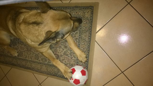 La palla mi interessa molto di più.