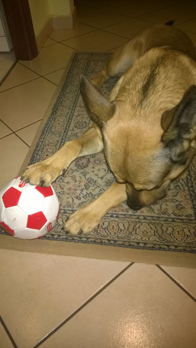 Il mio gioco preferito.