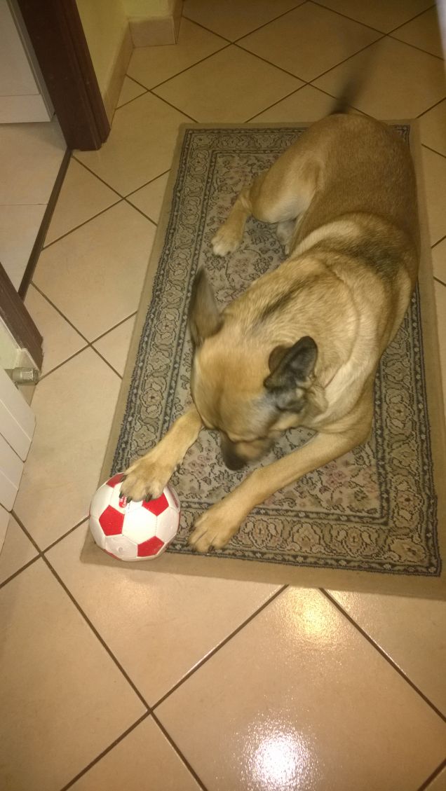 Chi vuole fare una partita.