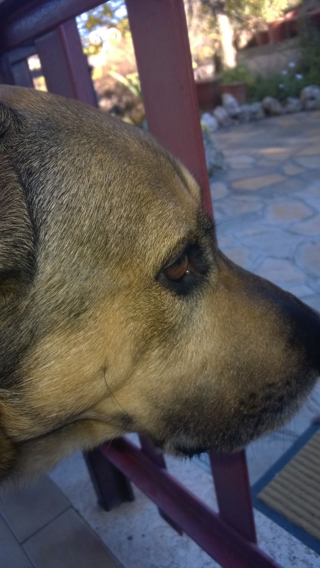 I pensieri scorrono veloci.