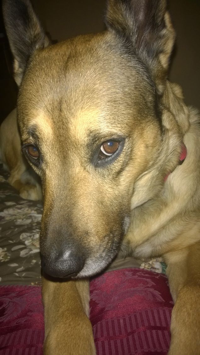 Morfeo mi attira fra le sua braccia.