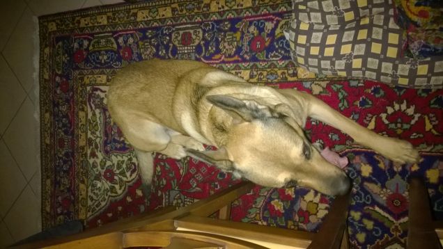 E ora con cosa gioco?