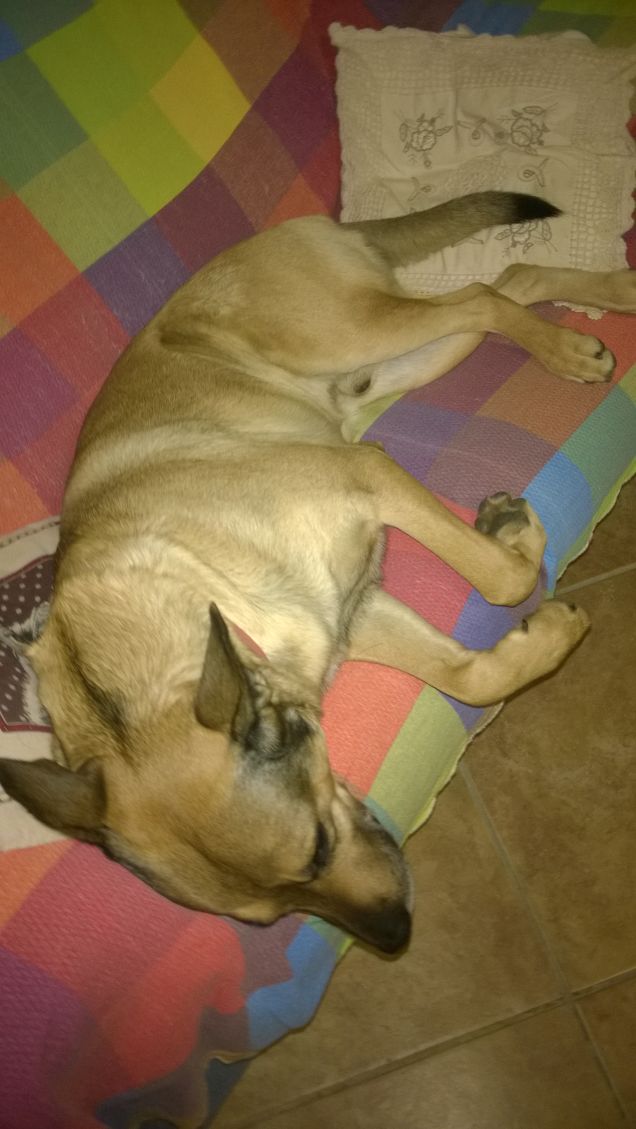 Spalmato sul divano.