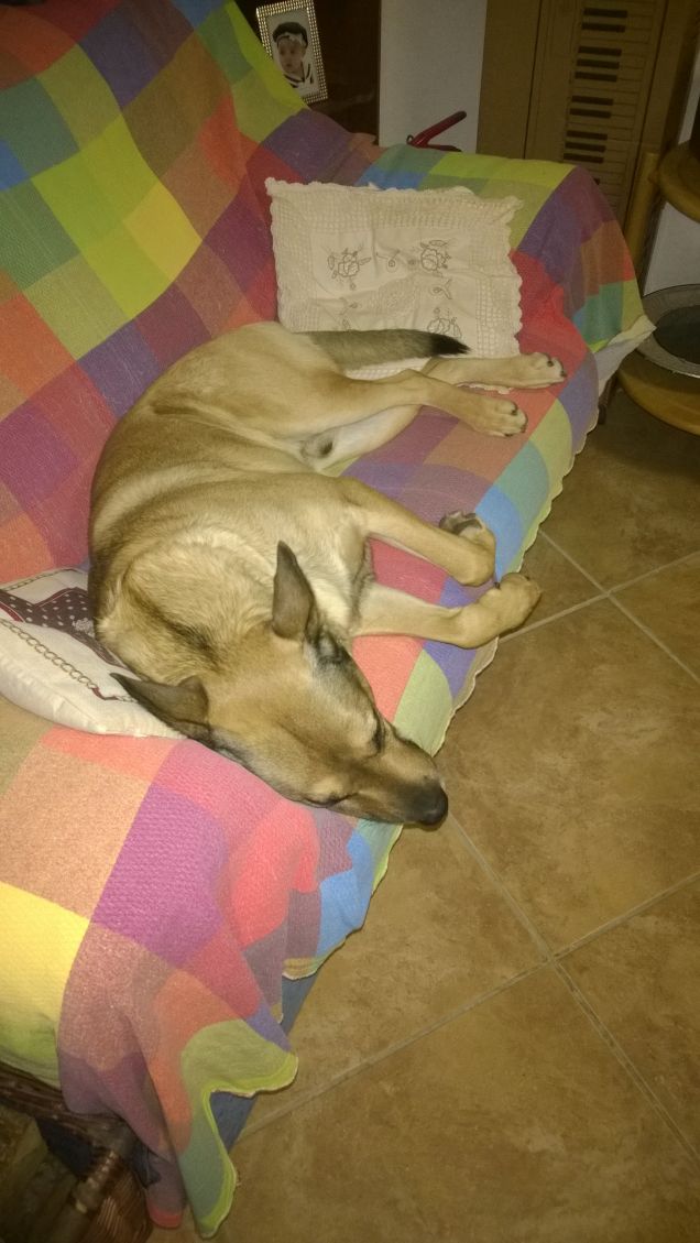 Io e i colori dell'arcobaleno.