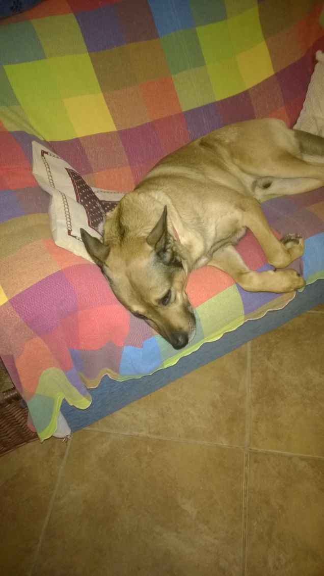 Il pisolino continua.