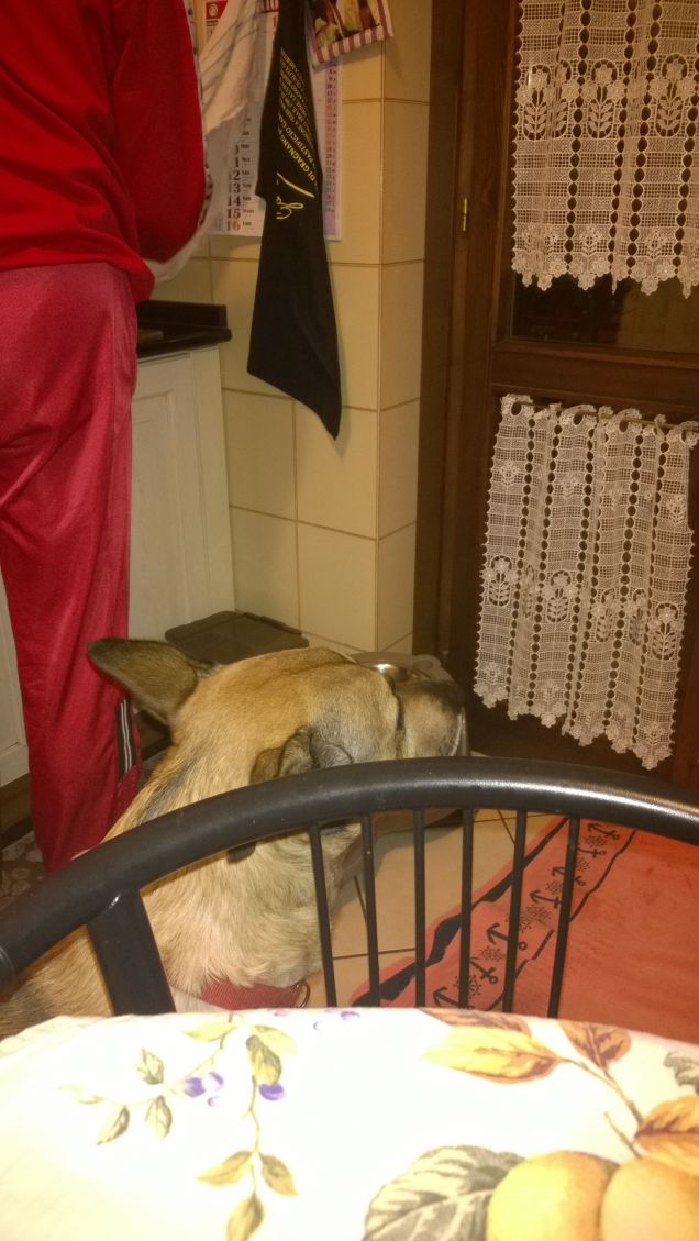 La mia vita casalinga