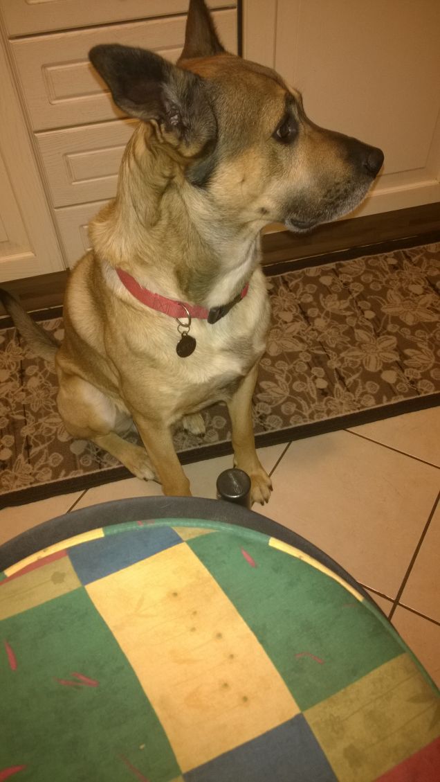 Ascolto ogni rumore.