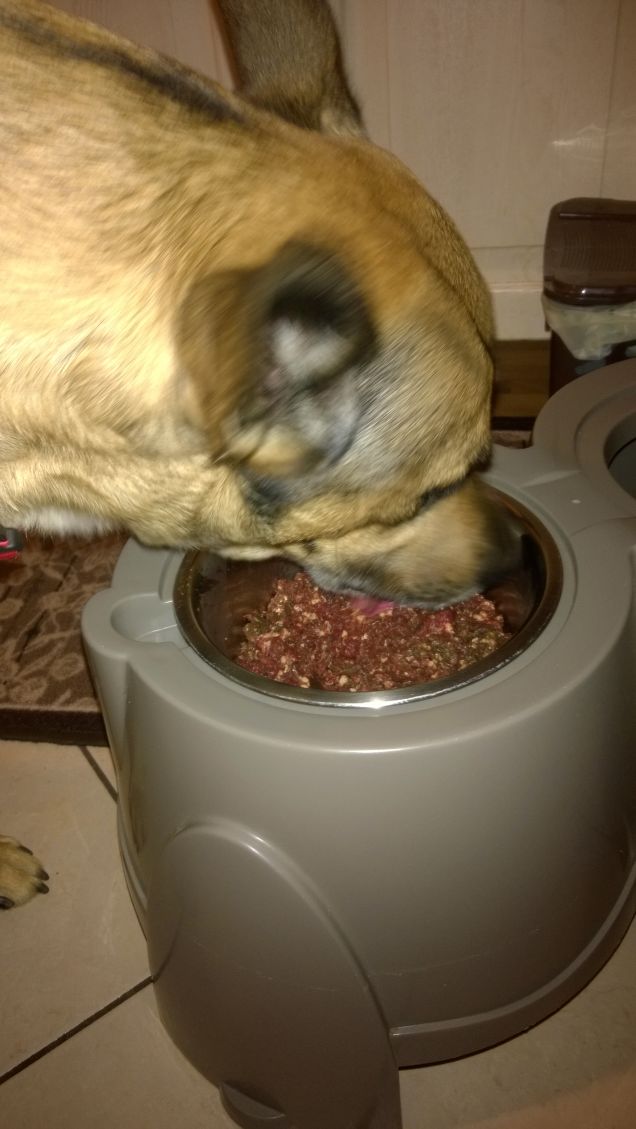 Non sapete cosa vi perdete.