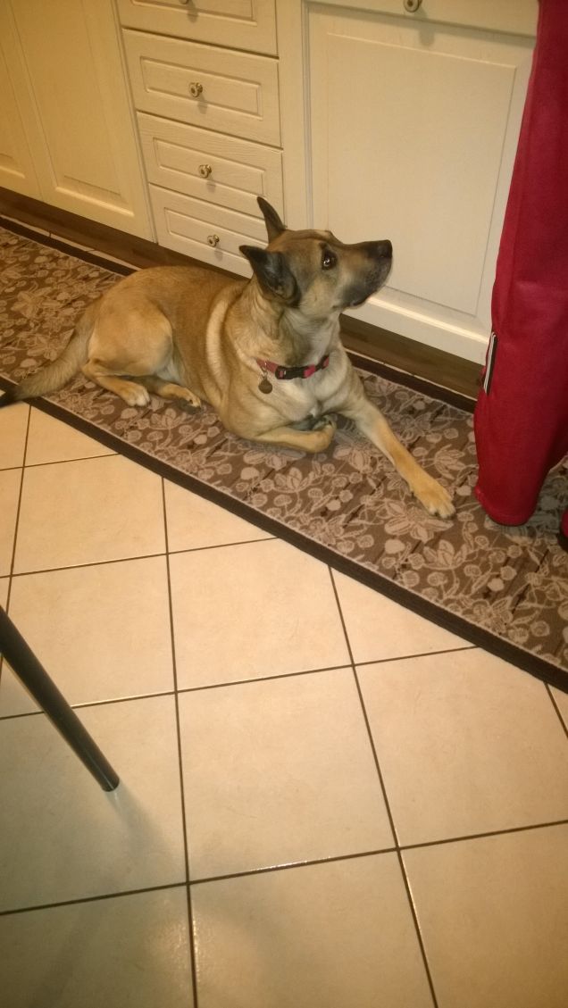 In attesa della pappa.