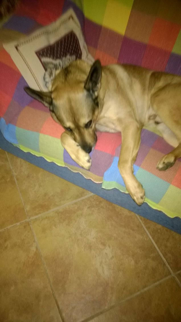 I miei colori preferiti.