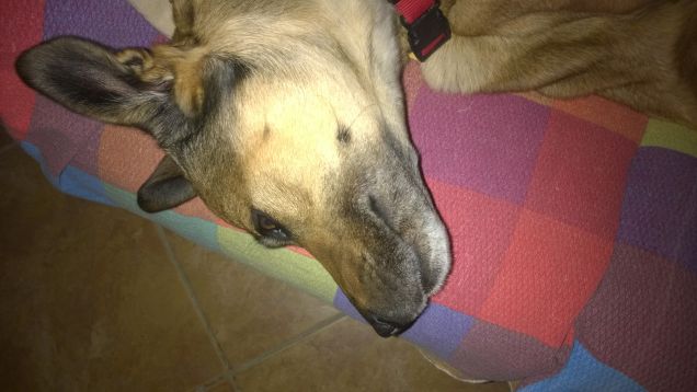 Anche questo non è male.