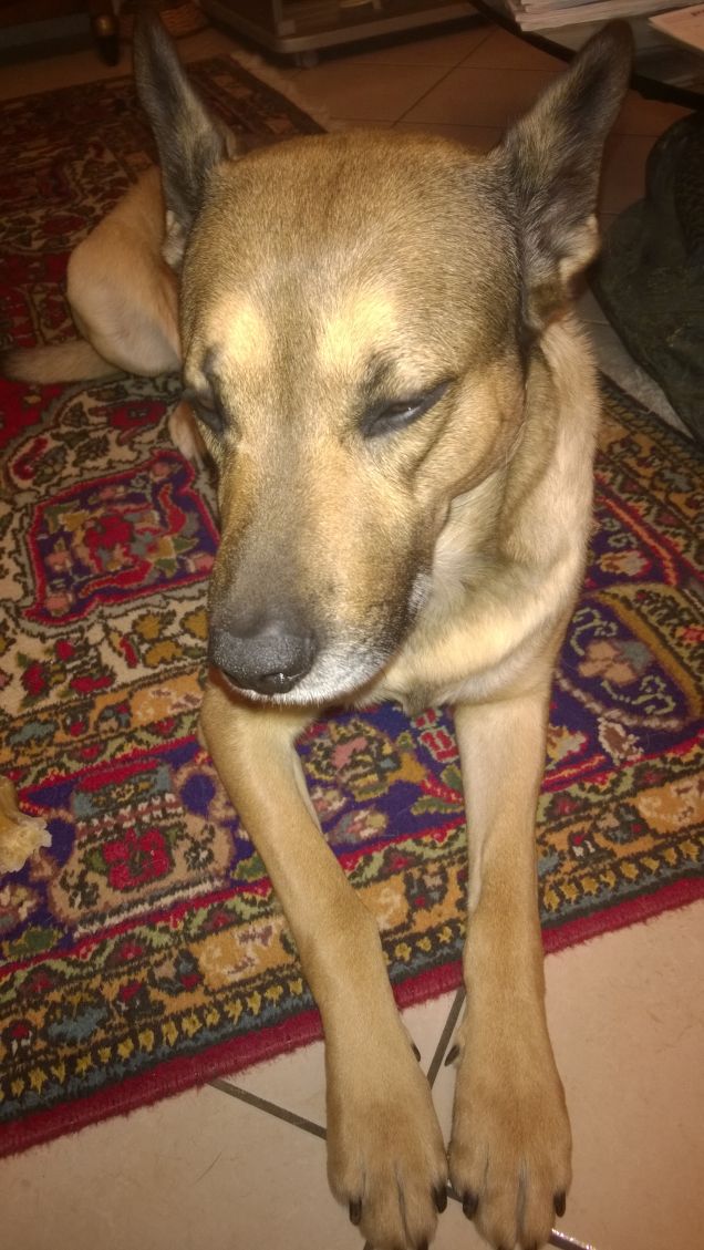 Mi si chiudono gli occhi.