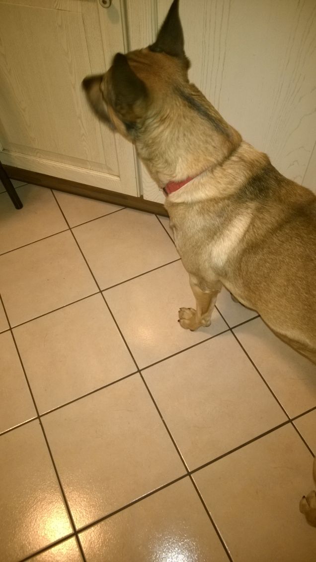 Aprite il mio armadio.