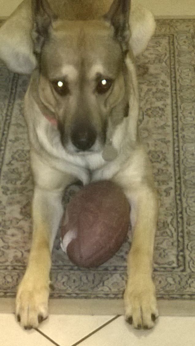 Sono un vero rugbista.