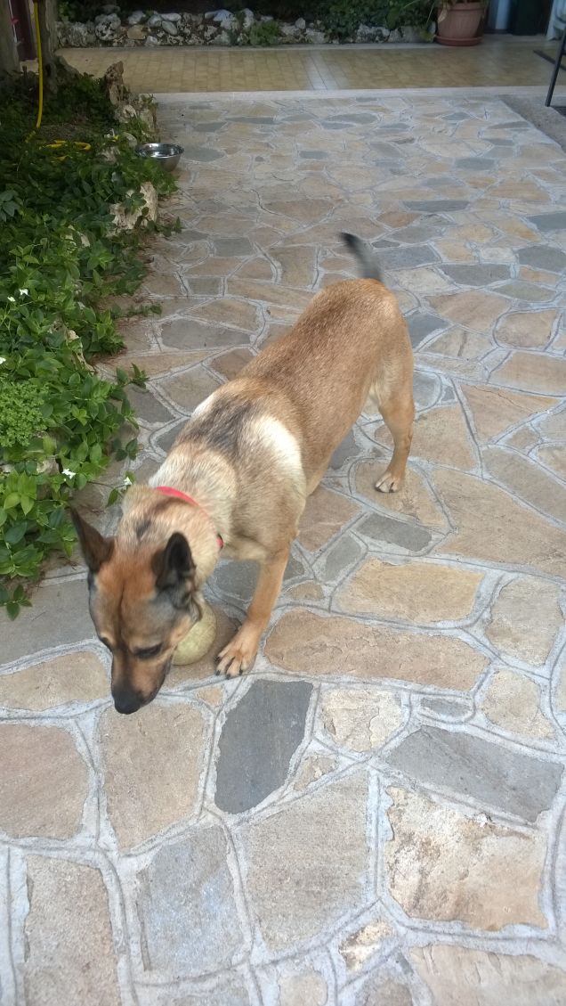 La palla non si tocca.