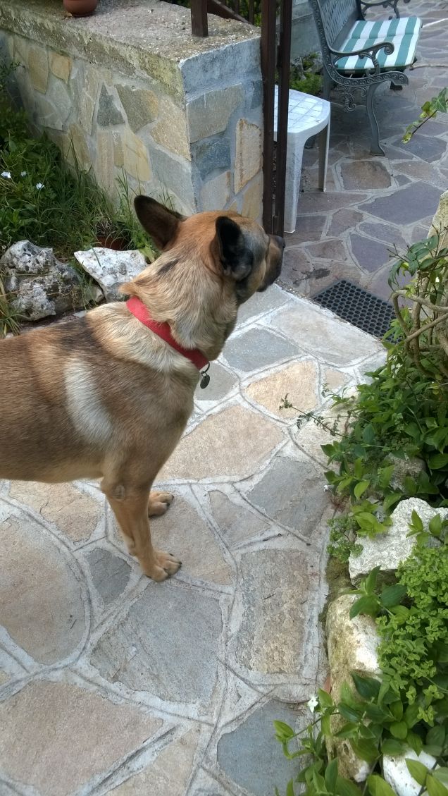 Tutto sotto controllo.