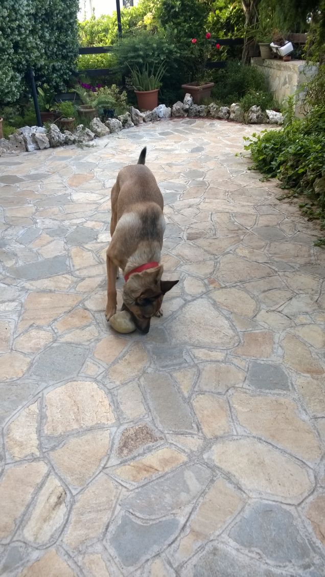 Fra un pò è finita.