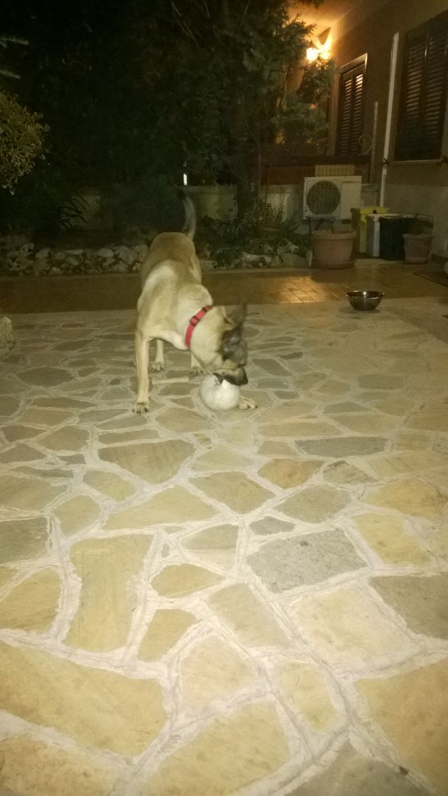 Ancora con il pallone.