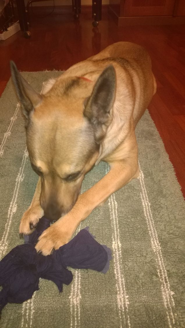 Sono un distruttore.