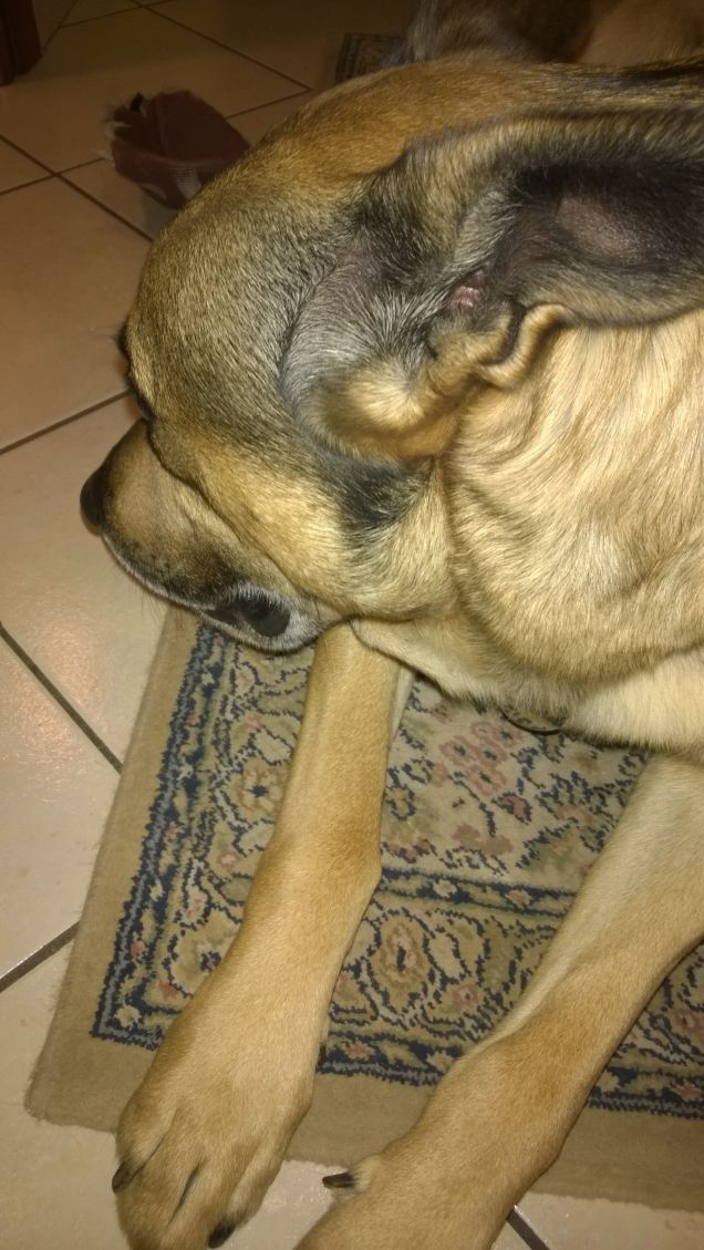 Con te non ci parlo.