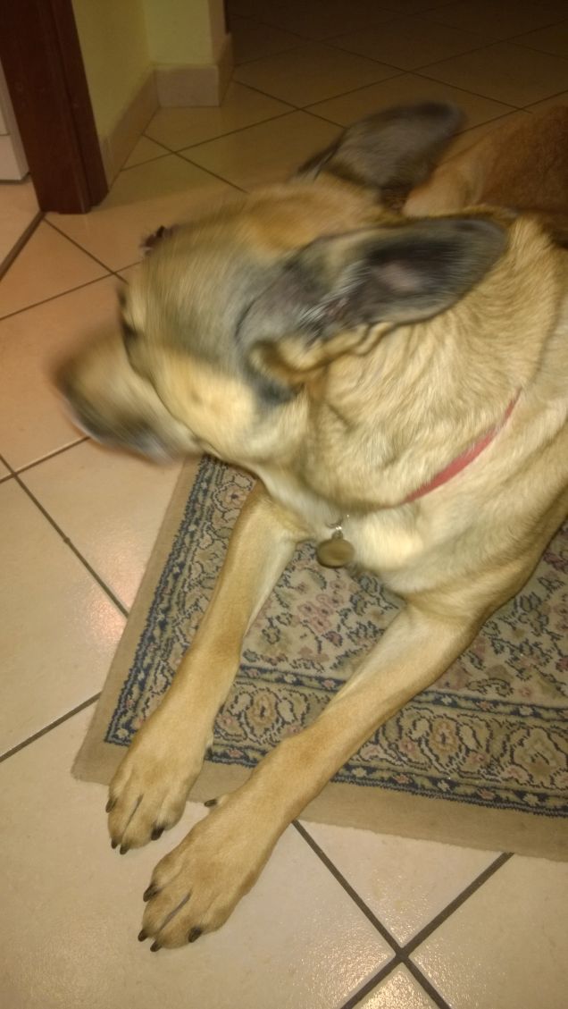 Non voglio fare foto.