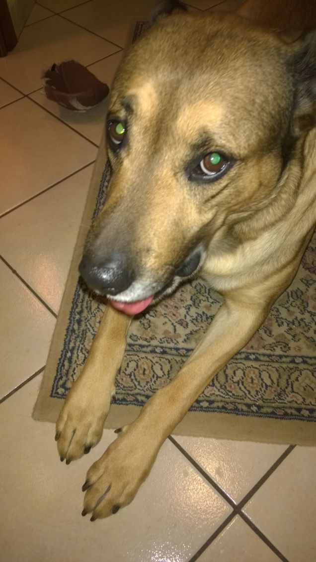 Ti guardo nei tuoi occhi.