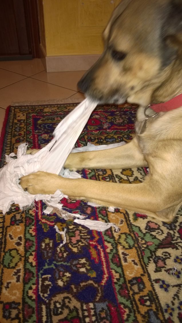 Il gioco dello strappa e distruggi.