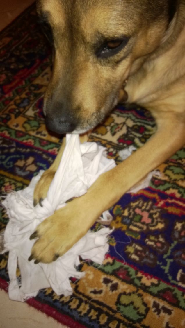 Mi diverto un mondo.