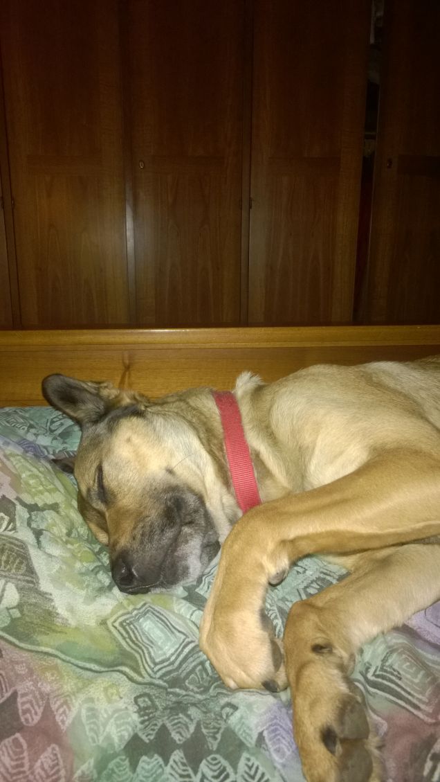 Profondamente dormo.