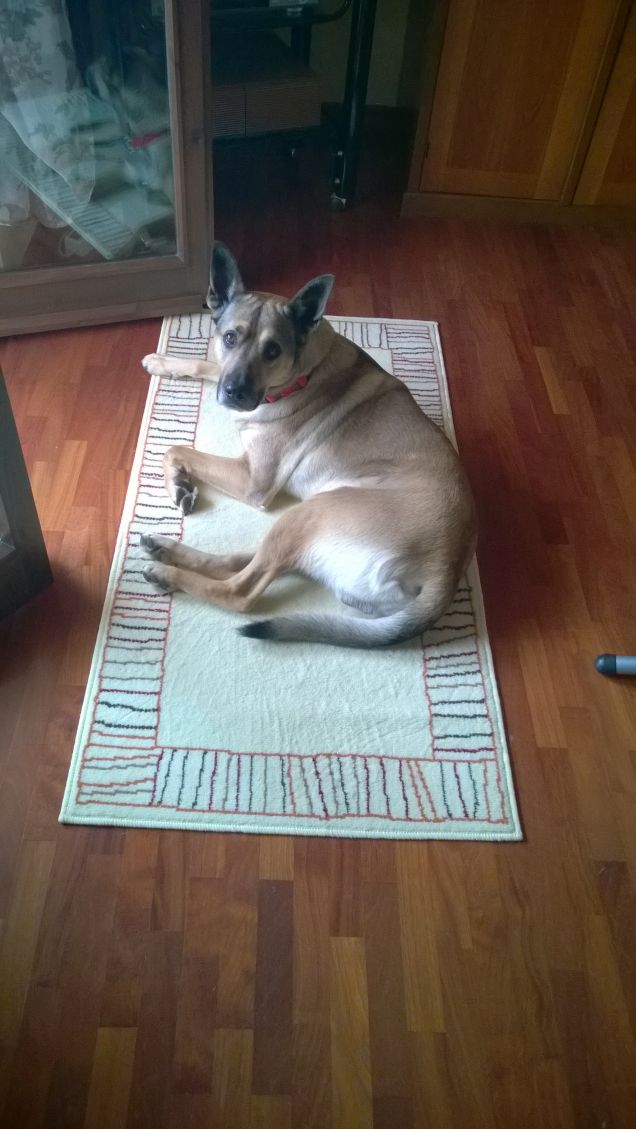 Ehilà io sono quà.