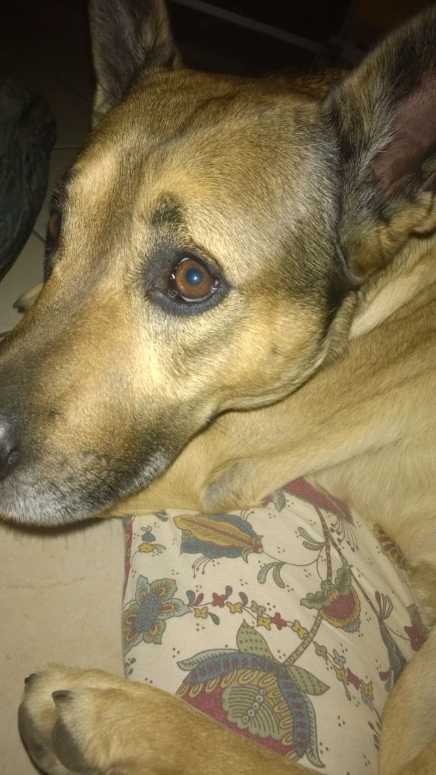 Che occhi grandi che hai!!!!