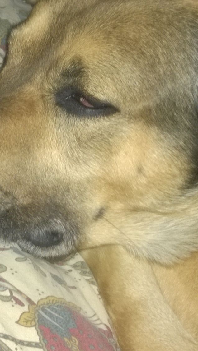 Dolce notte a tutti.