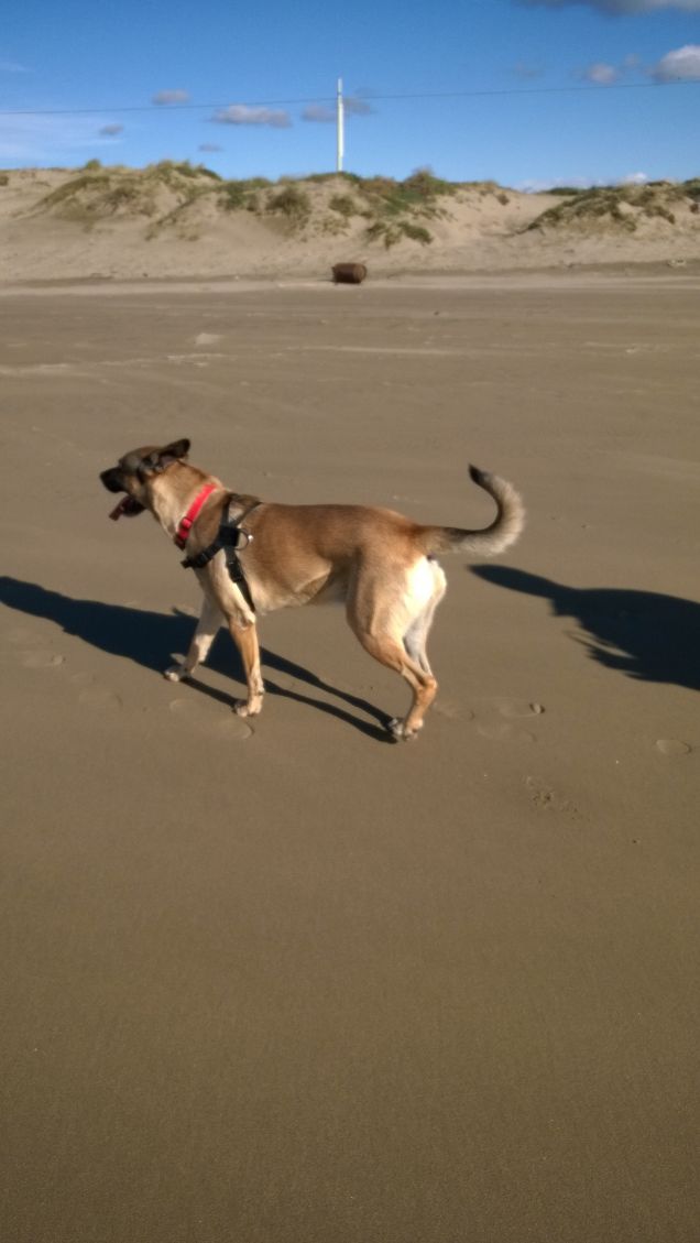 Passeggiata al mare.