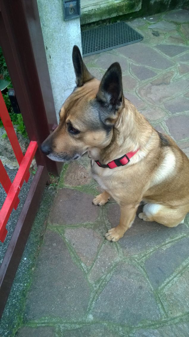 Davanti al cancello.