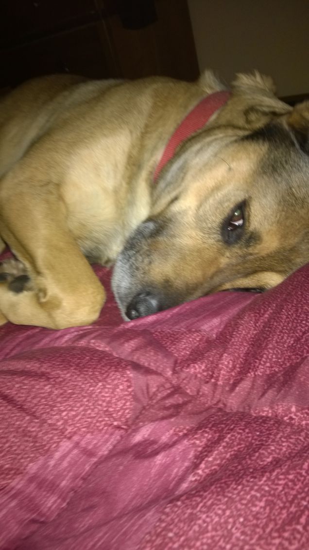 faccio finta di dormire.