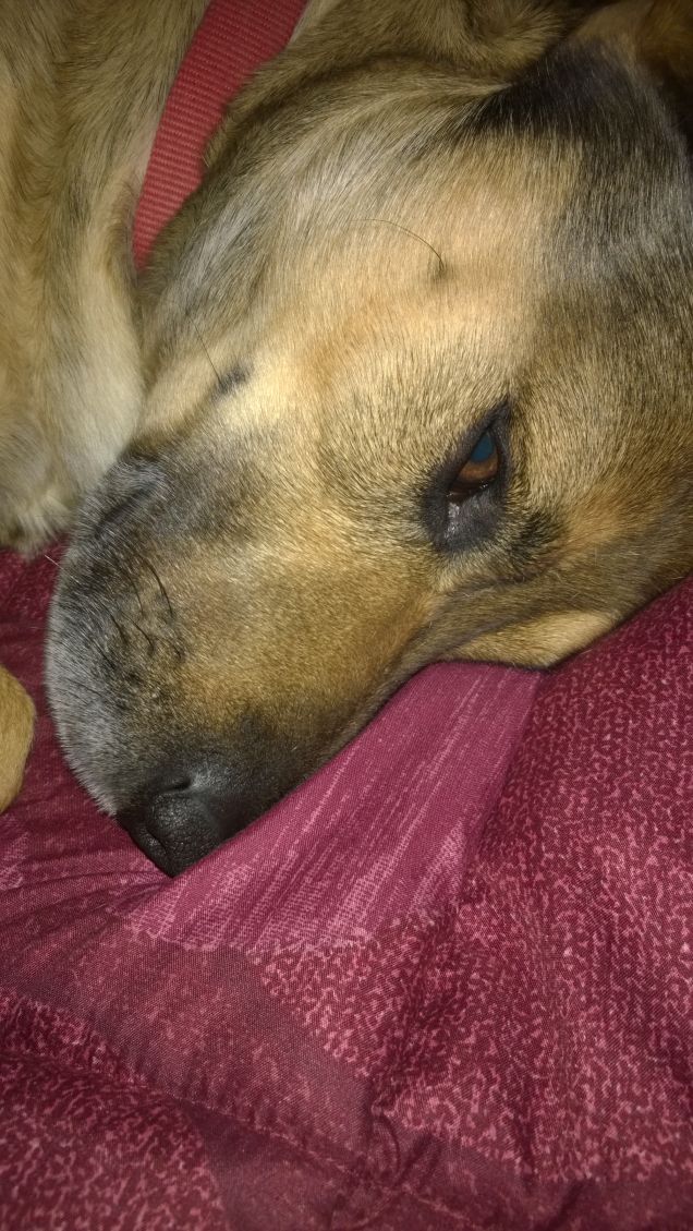 Sprofondato sul divano