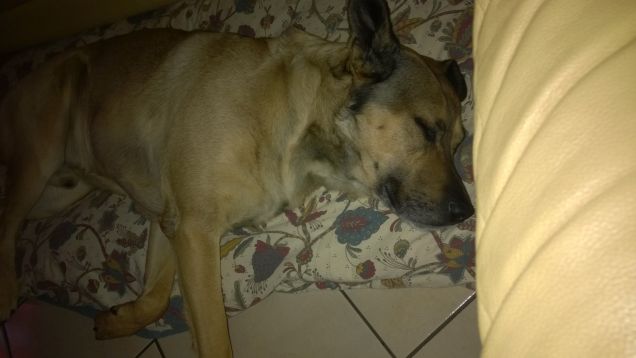 E' tempo di dormire...