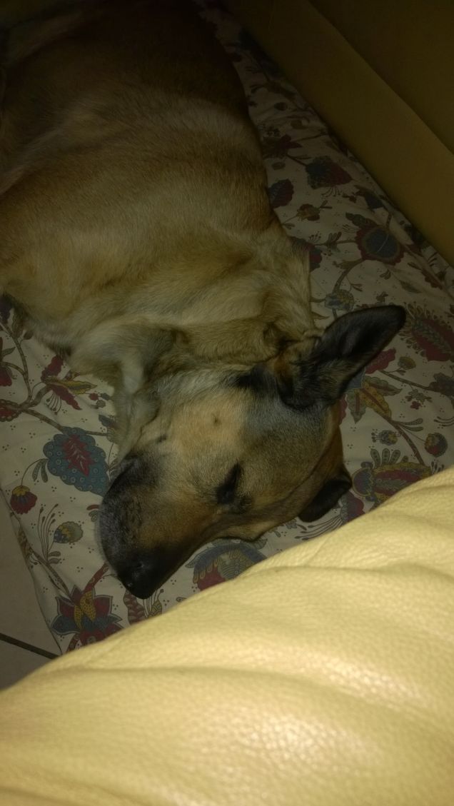 Profondamente dormo...