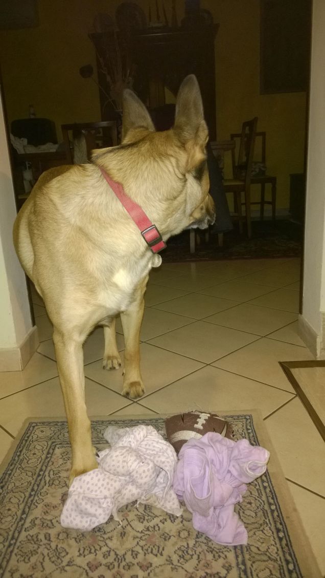 Qualcosa che non c'è.