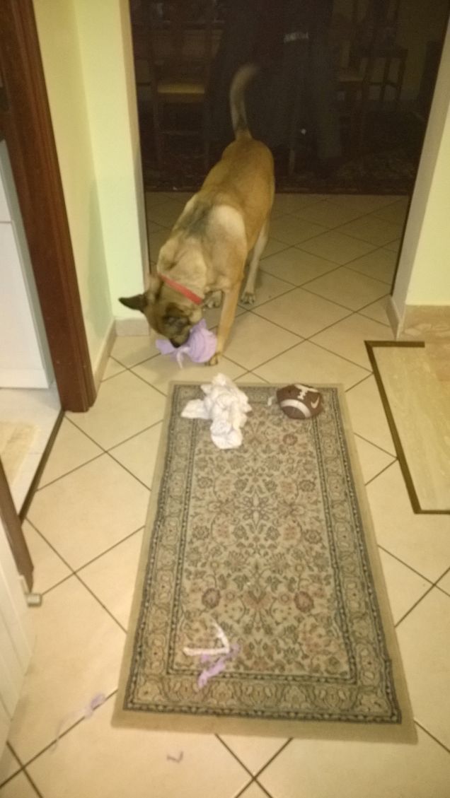 Un vero distruttore.