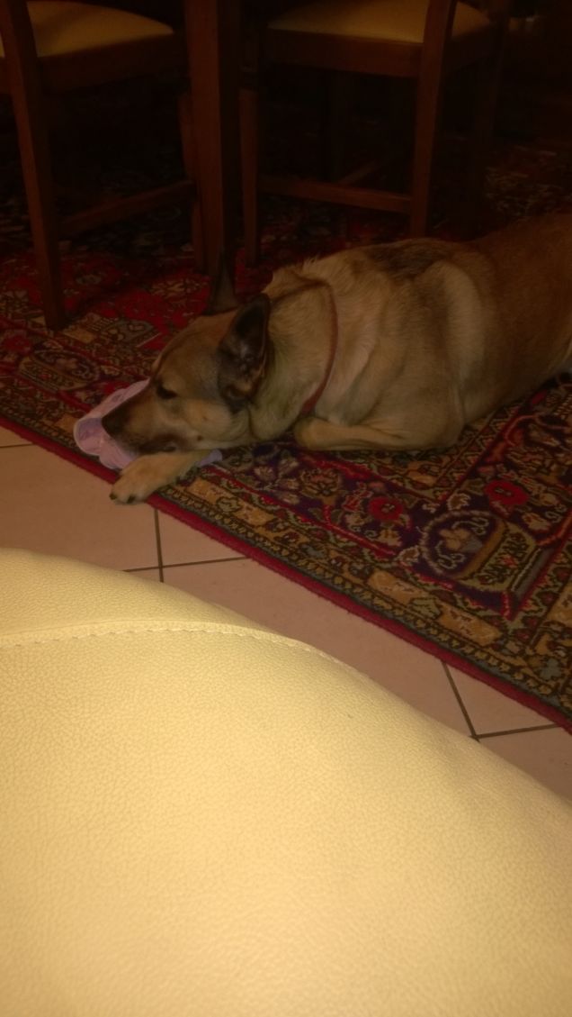 Abbassiamo la guardia.