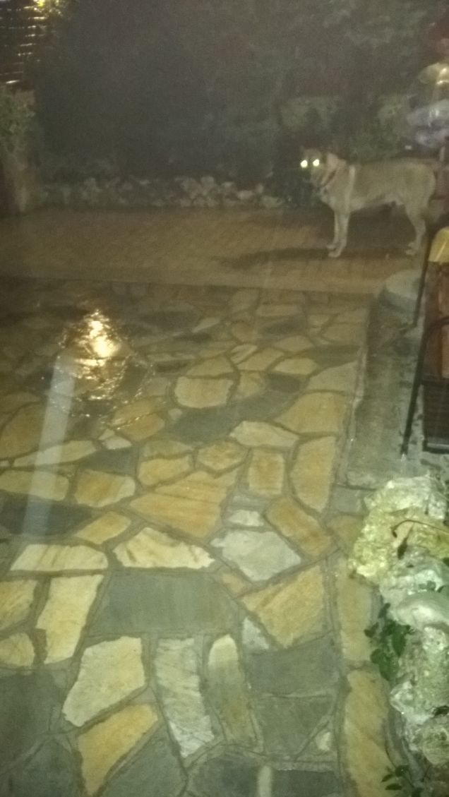 Due fari nella notte.