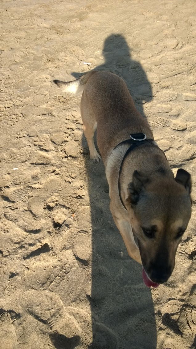 Il mare non manca mai.