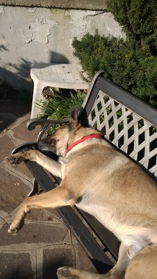 Dormo sulla panchina.