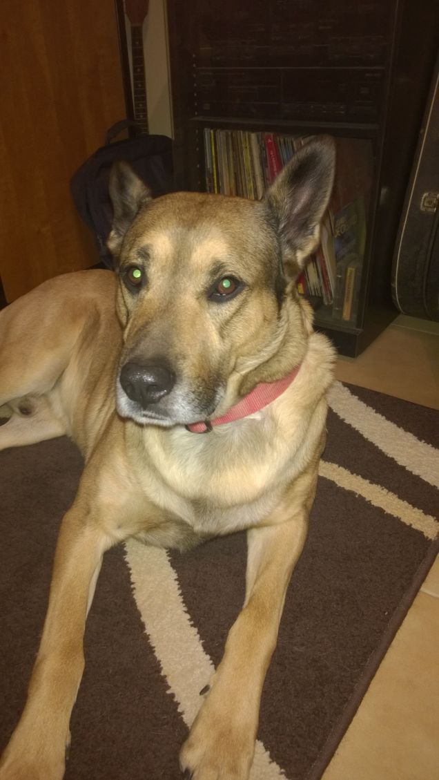 Sono un ragazzo fortunato...