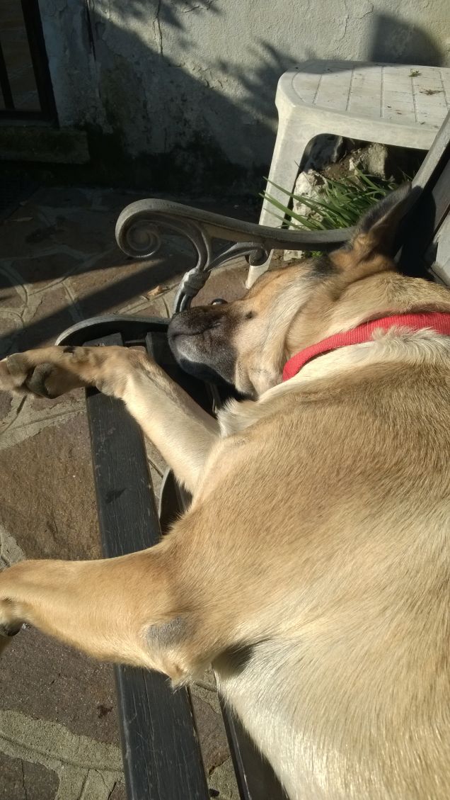 Sulla panchina ci dormo.