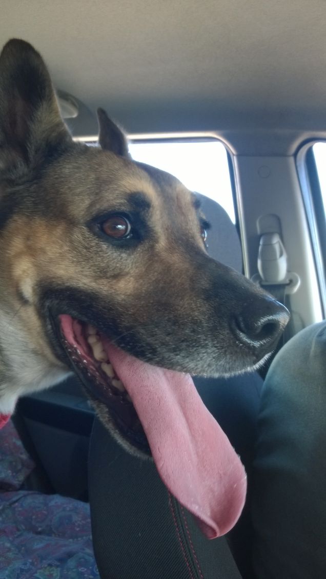 La mia lingua lunga.