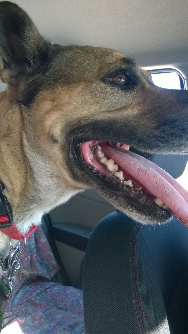 Tanto caldo.......tanta sete.