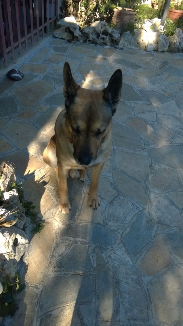 Il giorno migliore11