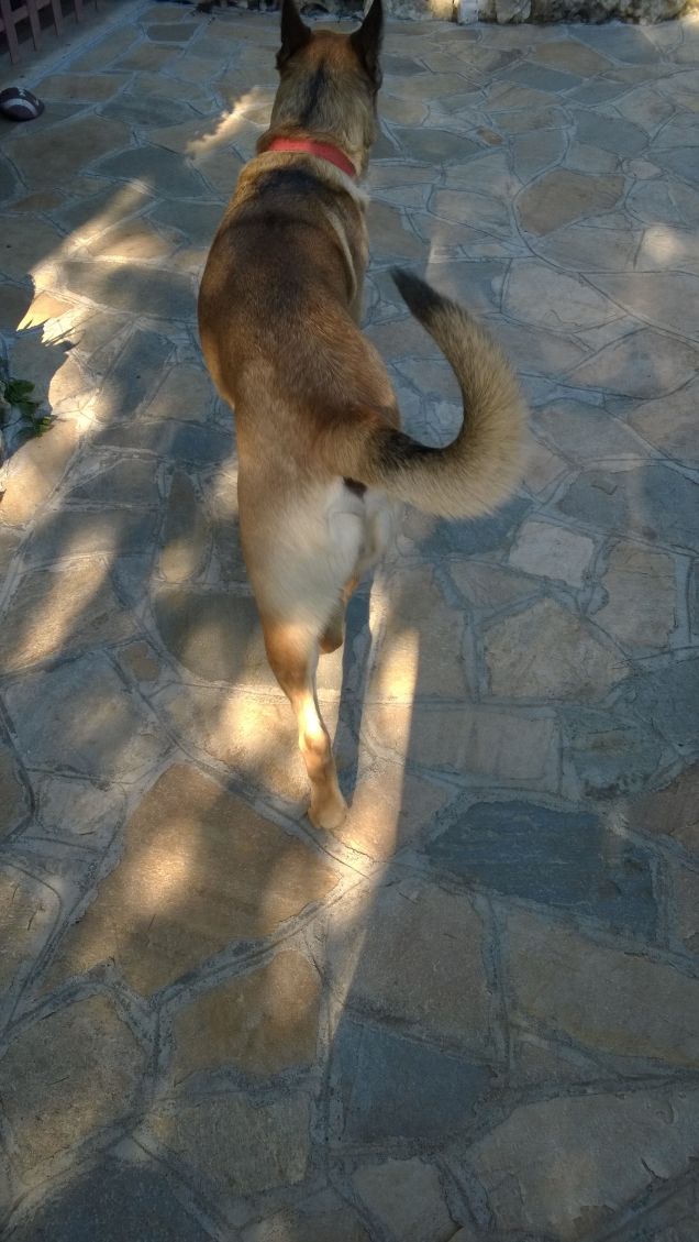 Il giorno migliore16